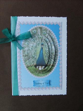 Peacock by ANGELA STYLES
