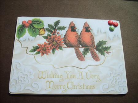 Red Cardinals on a Snowy Branch A4 by ANGELA STYLES
