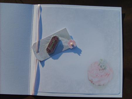 Pretty Cupcake Insert by ANGELA STYLES