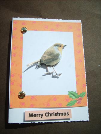 Red Robin Christmas by ANGELA STYLES