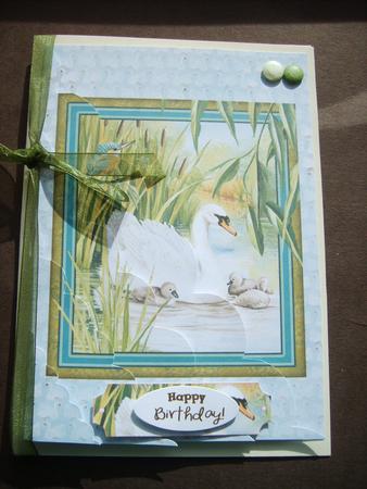 Meet the Family Wtf Large Wavy 5 by 7 Card Front by ANGELA STYLES