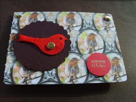 Robin Red Breast Background by ANGELA STYLES