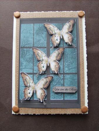 Birthday Male Butterflie Door by ANGELA STYLES