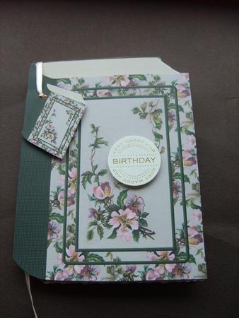 Pink Posy Vine Book Card by ANGELA STYLES