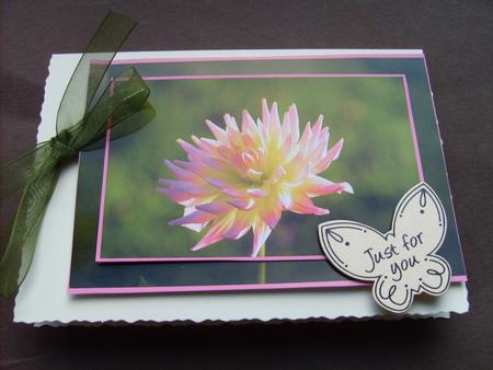 Dahlia Photographs by ANGELA STYLES
