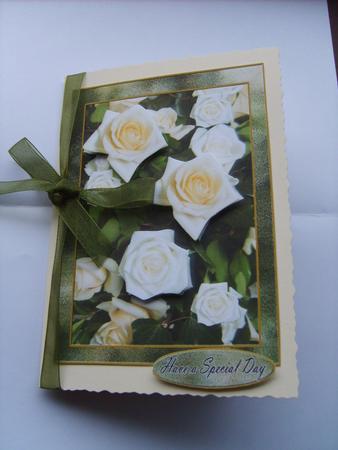 A Special Day with Insert and Verse Suit Birthday Wedding by ANGELA STYLES