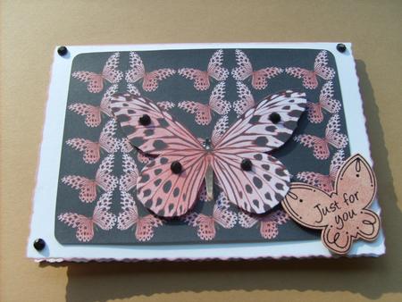 Butterfly Blush by ANGELA STYLES