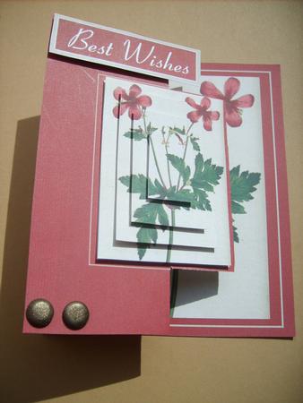 Geranium Flower Fold Back by ANGELA STYLES