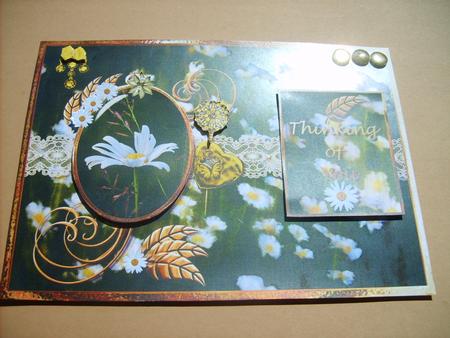Designs on a Daisy by ANGELA STYLES