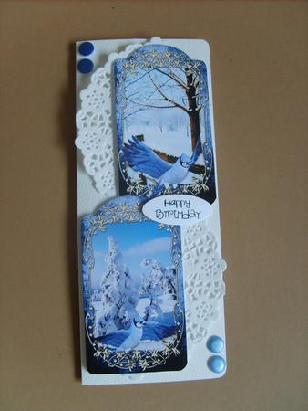 Winter Jay Tags by ANGELA STYLES