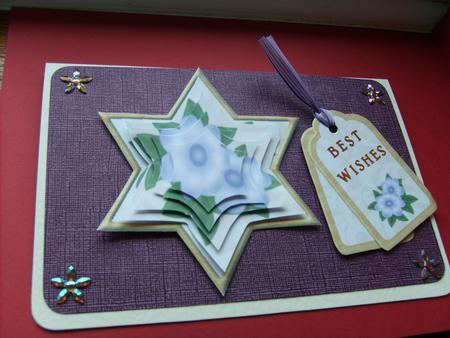 Lilac Flower Star by ANGELA STYLES