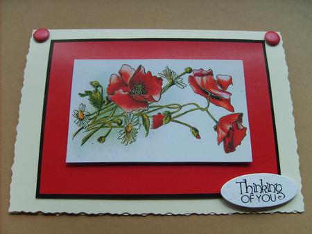 Vintage Poppies No 1 by ANGELA STYLES