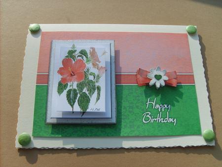Hibiscus Watercolour Pyramage Card - Salmon & Spring Green by ANGELA STYLES