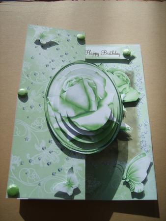 Mint Silky Roses No Holes Fold Card Mini Kit by ANGELA STYLES