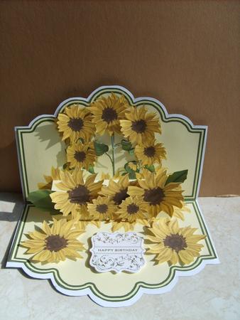 Scallop Pop Up Kit - Bring Me Sunshine by ANGELA STYLES