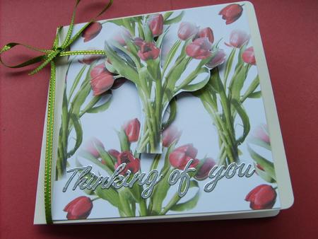 Red Tulips Background by ANGELA STYLES