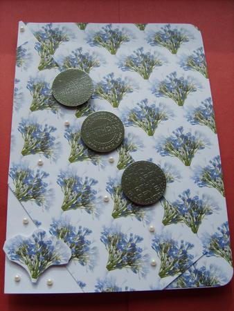 Californian Bluebell Background by ANGELA STYLES