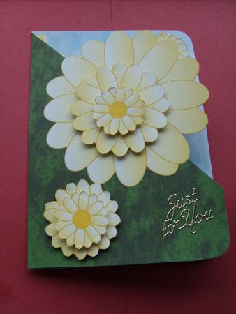 Daisy Cut and Fold Corner Card by ANGELA STYLES