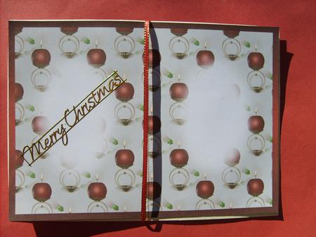 Xmas Insert 10 by ANGELA STYLES
