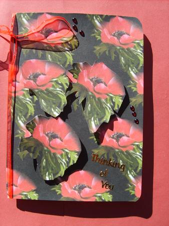 Red Anemone on Black Backing Paper Large Flower by ANGELA STYLES