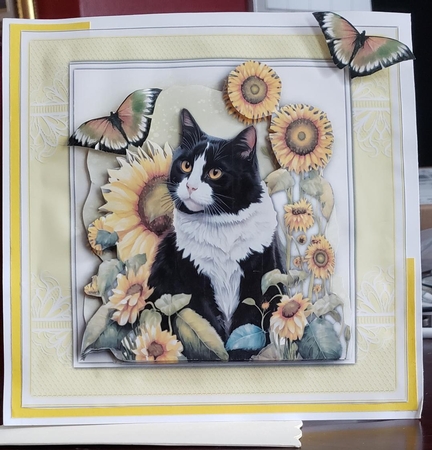 8x8 Mini Kit, Beautiful Tuxedo Cat by Angela Taylor