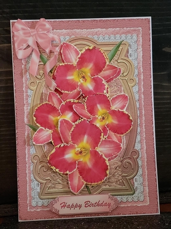 Beautiful Salmon Pink Orchids by Angela Taylor
