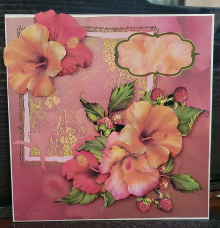 Tropical Hibiscus Flowers & Lace Fairy Friends Decoupage Kit by Angela Taylor