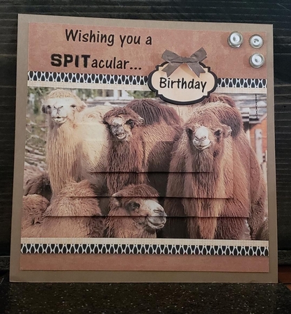 Camel SPITacular Fathers Day - Birthday - Retirement Mini Kit by Angela Taylor