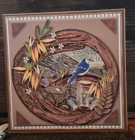 Blue Jay & Nest by Angela Taylor