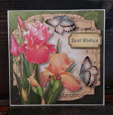 Sheet Music Plaque - Blush Iris 8x8 by Angela Taylor