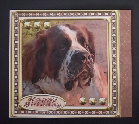 JJ LOVE MY DOG ST BERNARD 8X8 by Angela Taylor