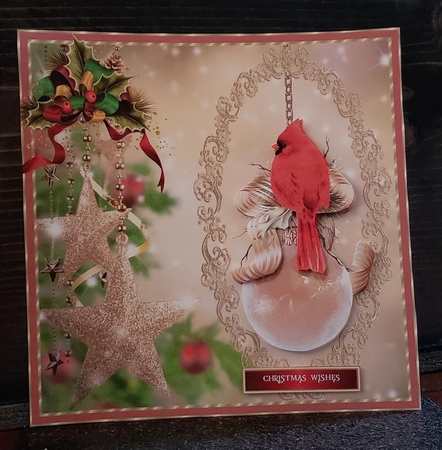Golden Stars and Cardinal by Angela Taylor
