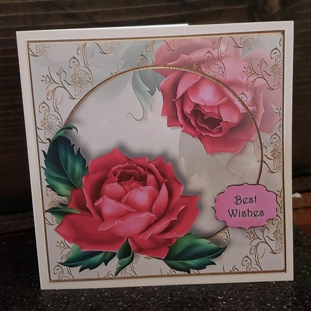 Beautiful Deep Pink Rose 8x8 by Angela Taylor