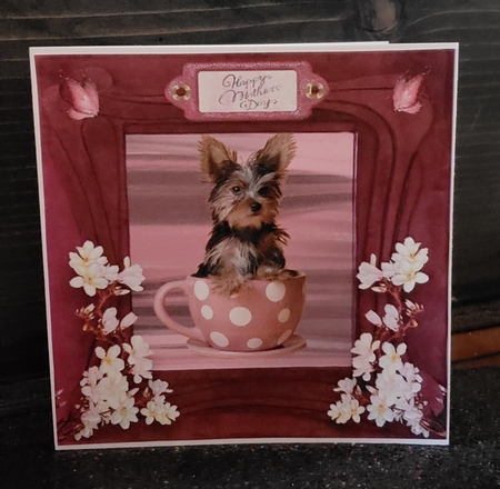 pup in a cup by Angela Taylor