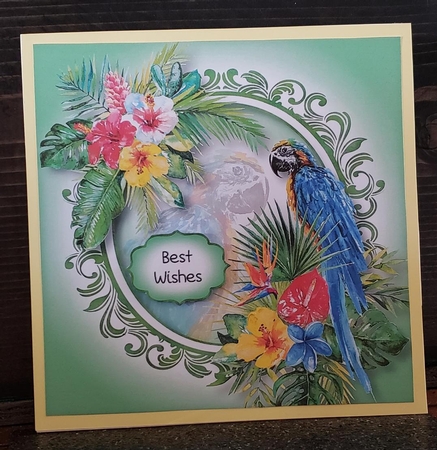 Tropical Summer - The Blue Parrot 8x8 by Angela Taylor