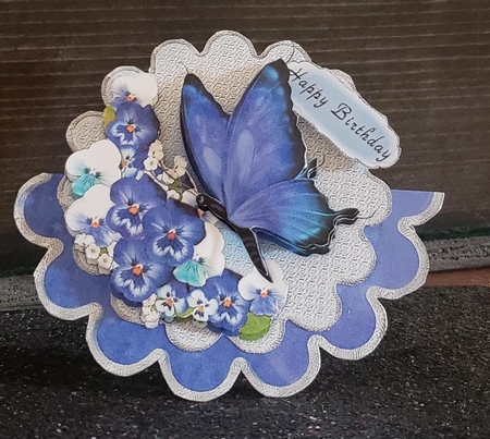Blue Butterfly Scallop by Angela Taylor