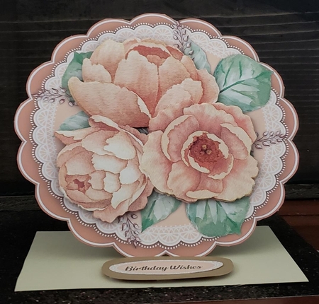 Beautiful Latta Peonys  by Angela Taylor