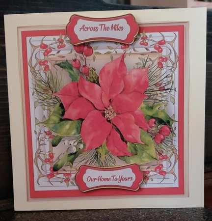 Stunning Poinsettia on holly mat  by Angela Taylor
