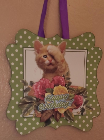 cute ginger kitten with roses/flowers and flowerpot by Angela Taylor