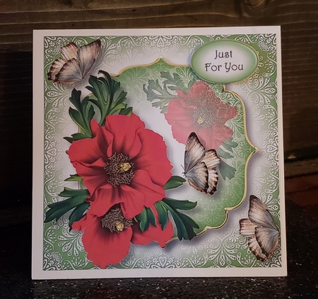 Stunning Poppies 8x8 by Angela Taylor