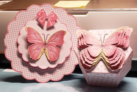 Hexagonal butterfly box and rocker card (Pink) by Angela Taylor