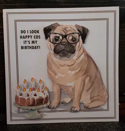 Do I Look Happy Cos Its My Birthday! by Angela Taylor