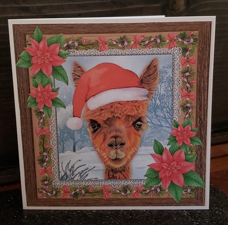 Gorgeous Festive Alpaca With Red Flowers 8x8 by Angela Taylor