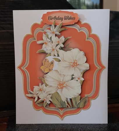Beautiful White Infushio  by Angela Taylor