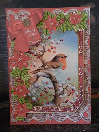 Red Robin Thinking of You 7x5in Fancy Lace Step by Step by Angela Taylor