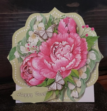 Beautiful Pink Peony Roses  by Angela Taylor