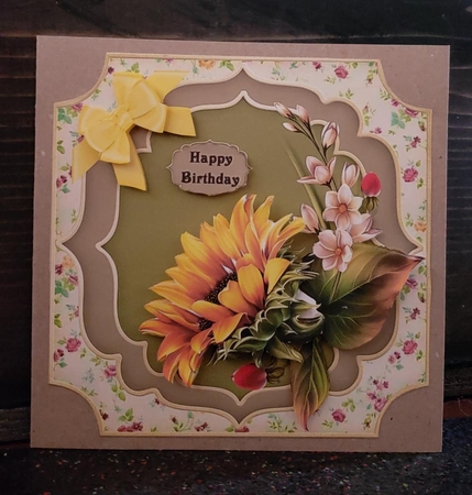 Sunflower by Angela Taylor