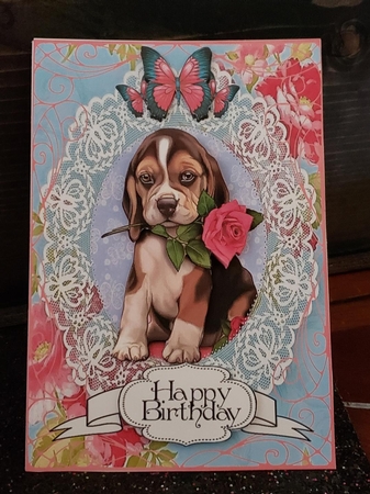 Lacy Beagle by Angela Taylor