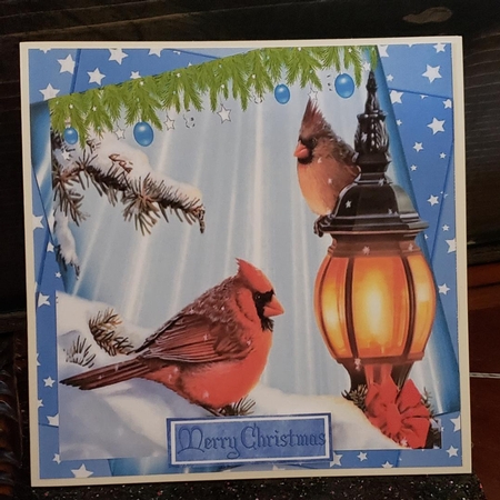 winter cardinal birds in the snow, in star frame 8x8 by Angela Taylor