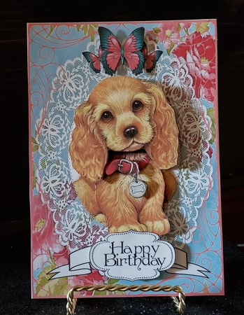 Lacy Spaniel by Angela Taylor